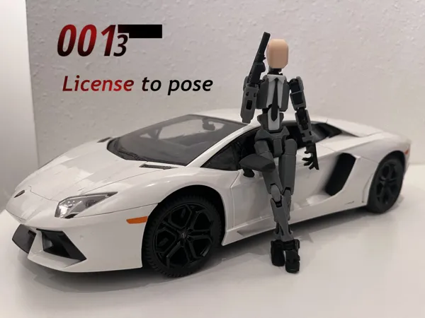https://makerworld.bblmw.com/makerworld/model/DSM00000000190196/design/2024-02-17_xitys7b6rv3c.jpg