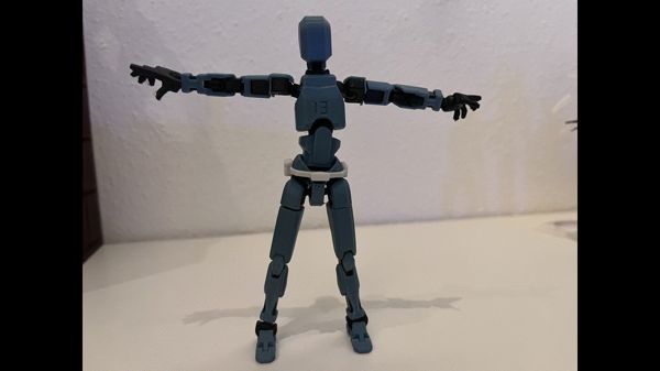 https://makerworld.bblmw.com/makerworld/model/DSM00000000190617/design/2024-02-17_b2x3sz4oq63b.gif