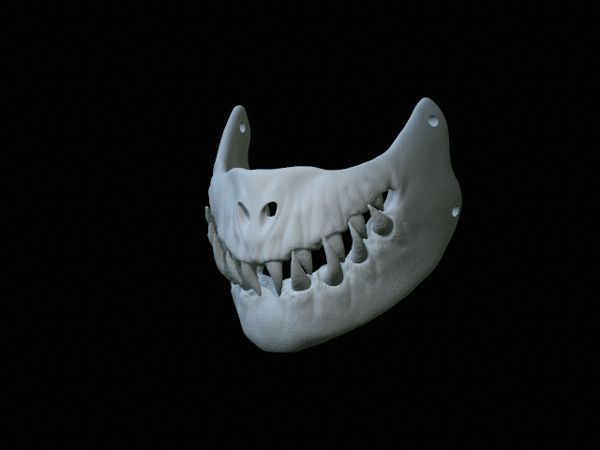 https://makerworld.bblmw.com/makerworld/model/DSM00000000191511/design/2024-02-18_bb0ea9e146158.gif