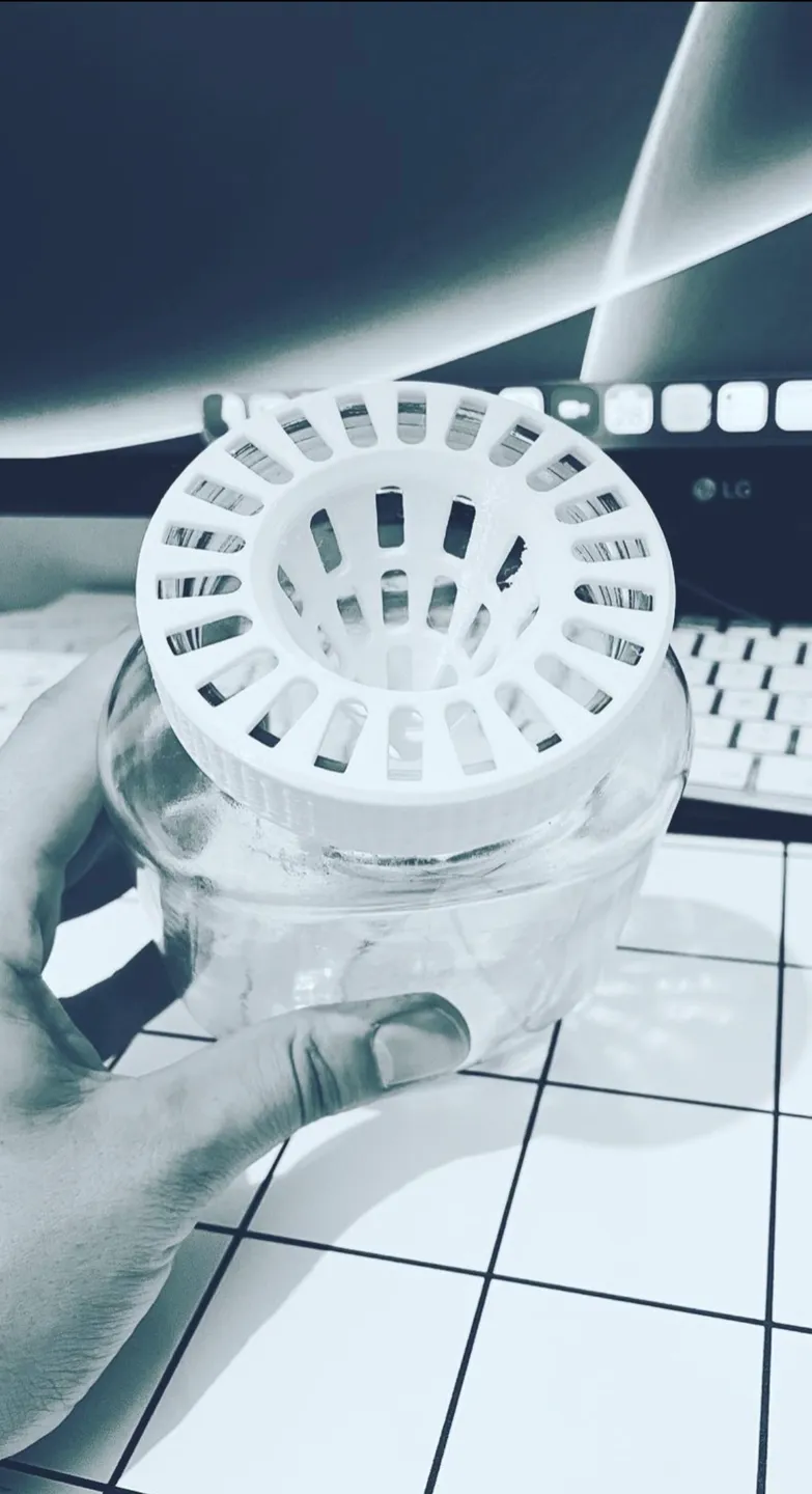 Asian hornet trap
