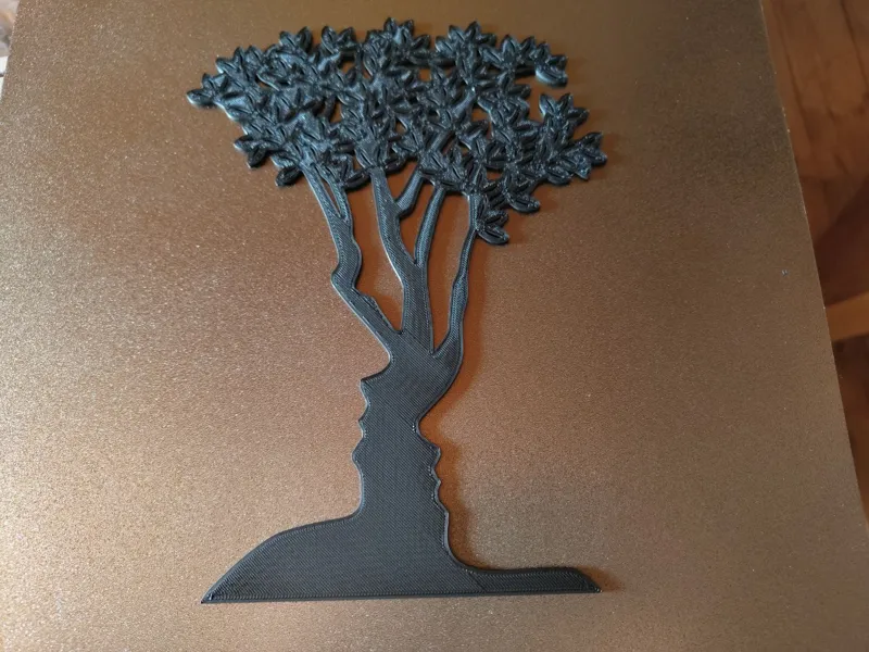 Optical illusion of faces