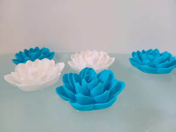 https://makerworld.bblmw.com/makerworld/model/DSM00000000197667/design/2024-02-22_k7xa4epjf6xu.jpg