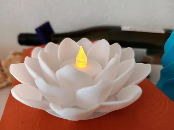 https://makerworld.bblmw.com/makerworld/model/DSM00000000197669/design/2024-02-22_husz20y6lujx.jpg