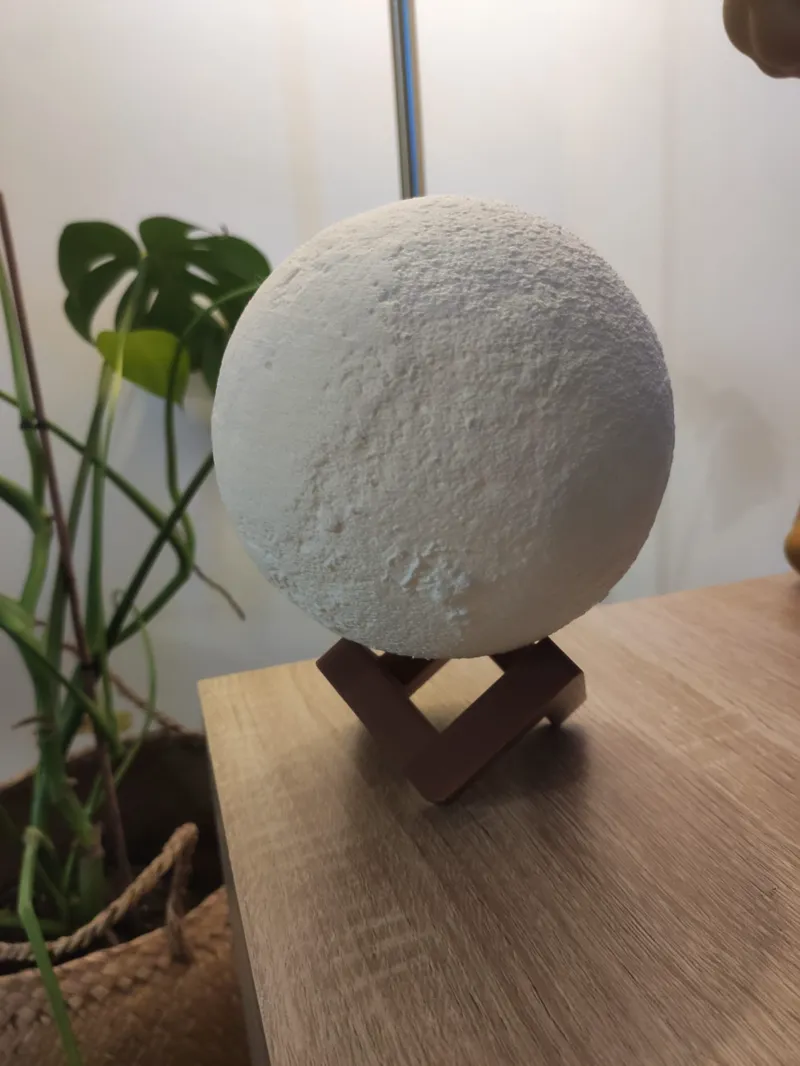 MOON SUPPORT