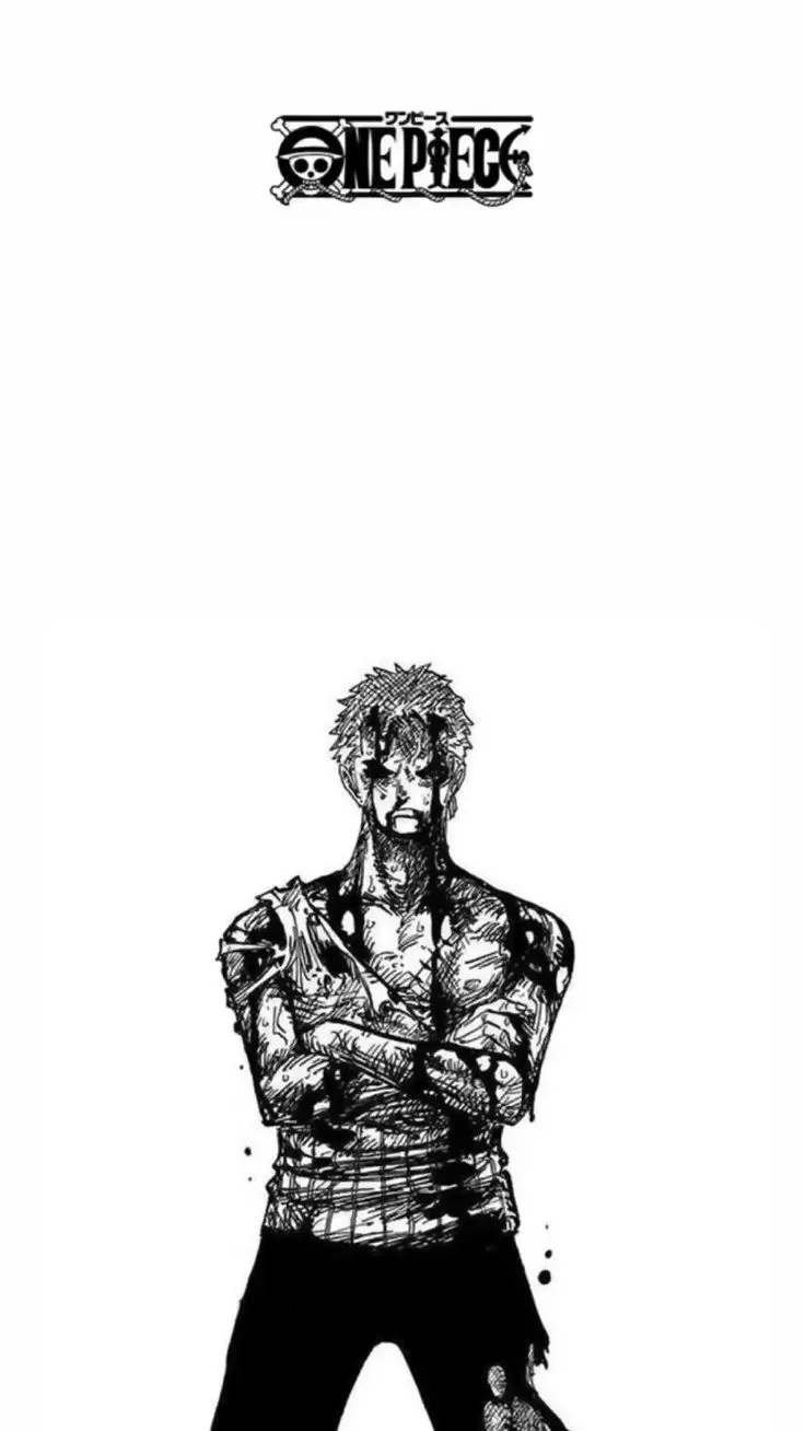 Nothing Happened - Zoro