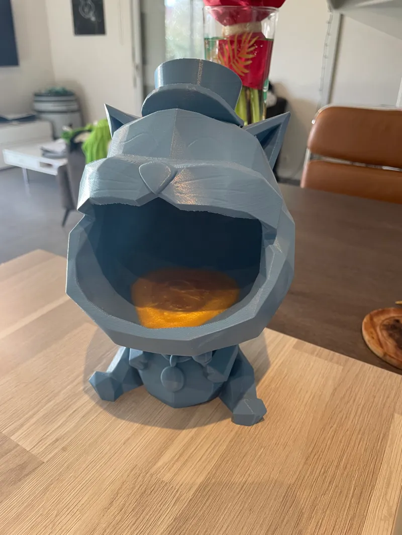 Vide poche Chat