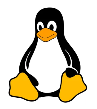 Linux Penguin Keychain