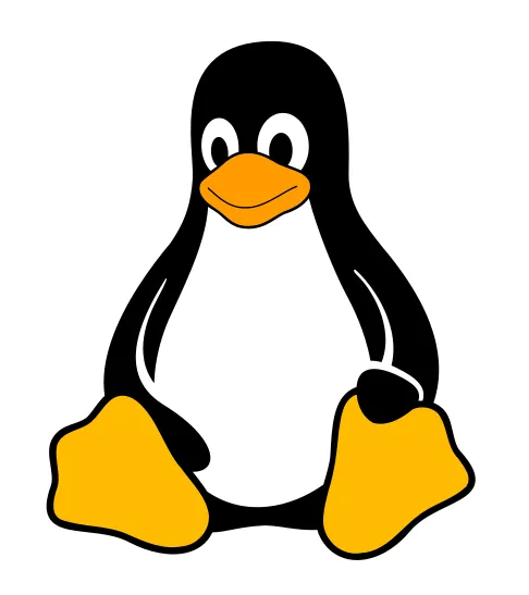 Linux Penguin Keychain