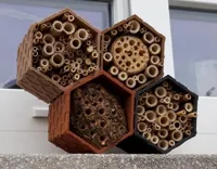 Hôtel à insectes — photo 1