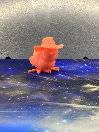 Cowboy Duck