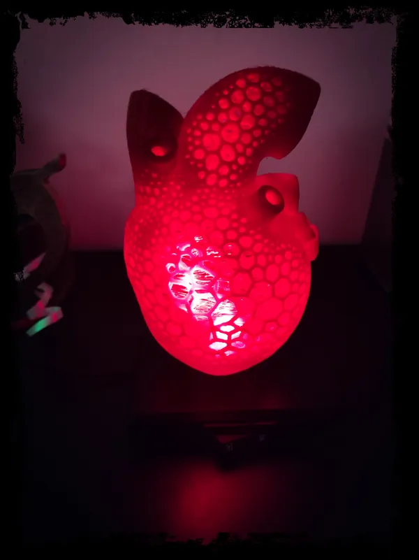 https://makerworld.bblmw.com/makerworld/model/DSM00000000202253/design/2024-02-24_dftufob78llg.jpg