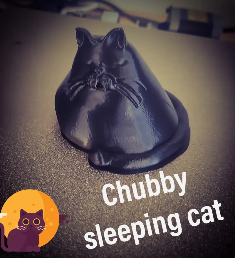 Sleeping Chubby Cat