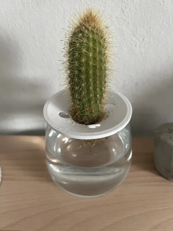 Hydroculture Cactus planter