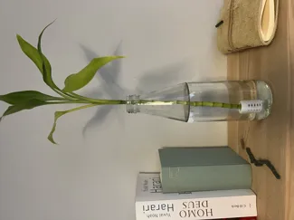 Hydroculture