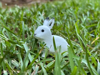 Print-in-Place Rabbit