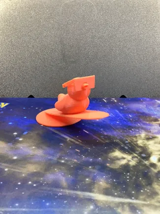 Surfing Duck