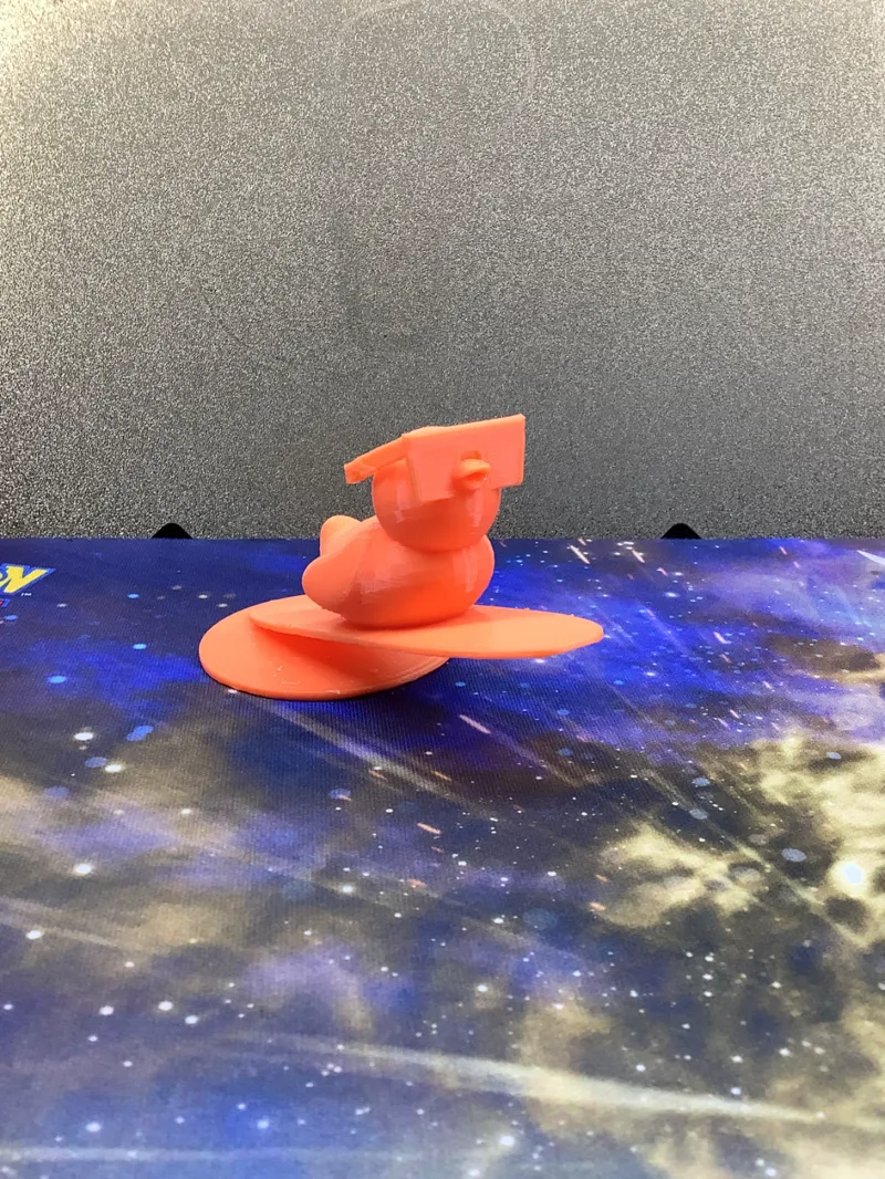 Surfing Duck