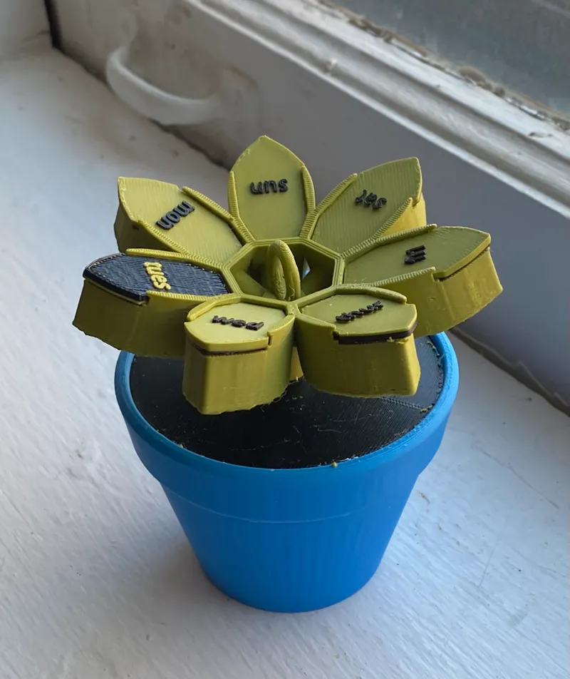 Potted Plant Pill Organizer