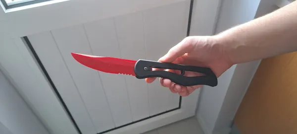 https://makerworld.bblmw.com/makerworld/model/DSM00000000202842/design/2024-02-24_fddc33de35e03.jpg