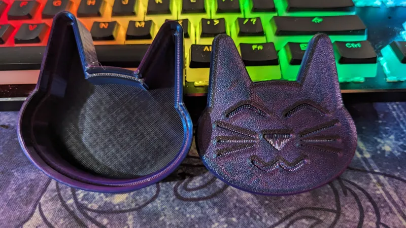 Cat Pillbox