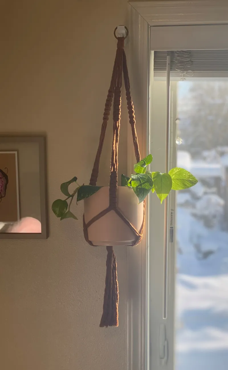 Wall Hook
