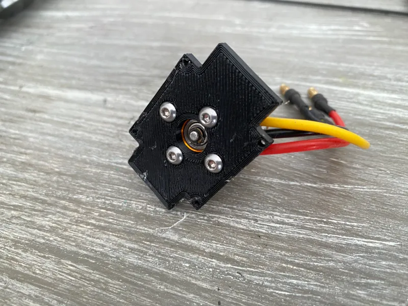 Brushless motor mount