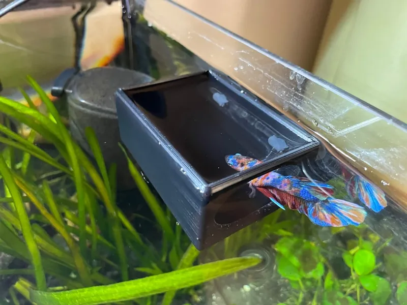 Betta House