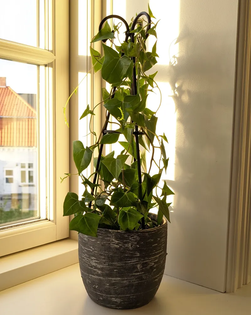 Plant Tower