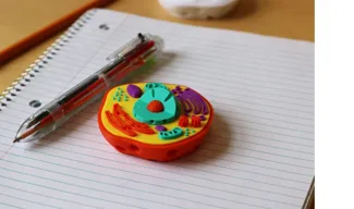 Multi-Color Mini Animal Cell