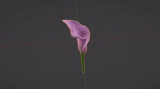 Photoscanned Flower