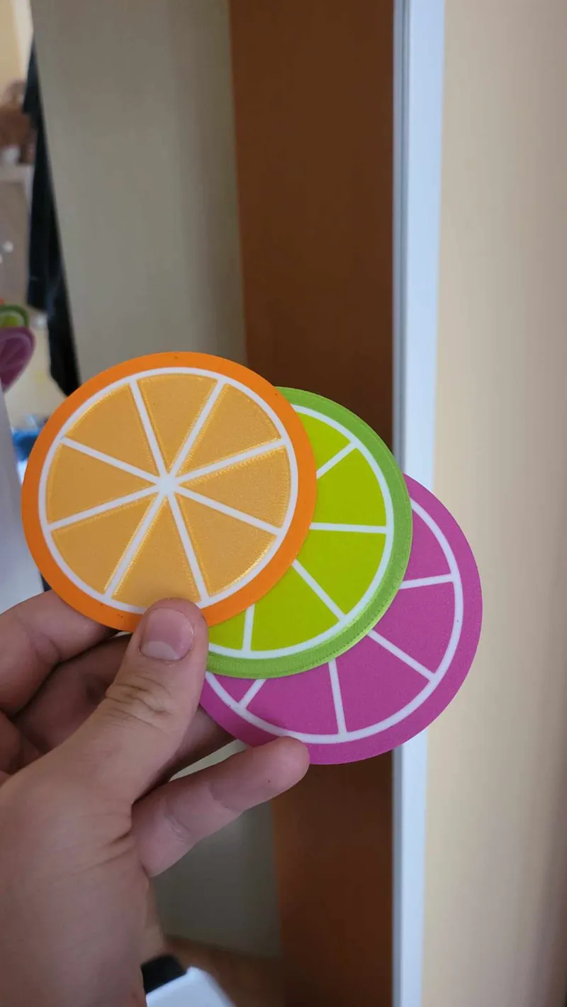 Fruits Coasters Multicolor