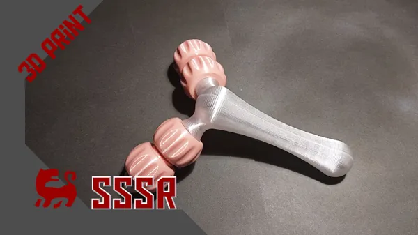 https://makerworld.bblmw.com/makerworld/model/DSM00000000211538/design/2024-02-29_caff17ed100f1.jpg
