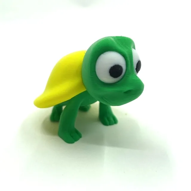 Cute Cartoon Turtle