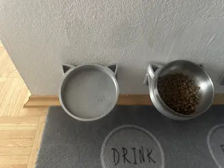Cute Cat Bowl Wallmount
