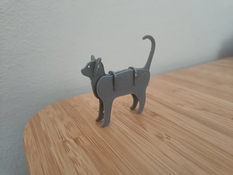 Cat Kit Card 