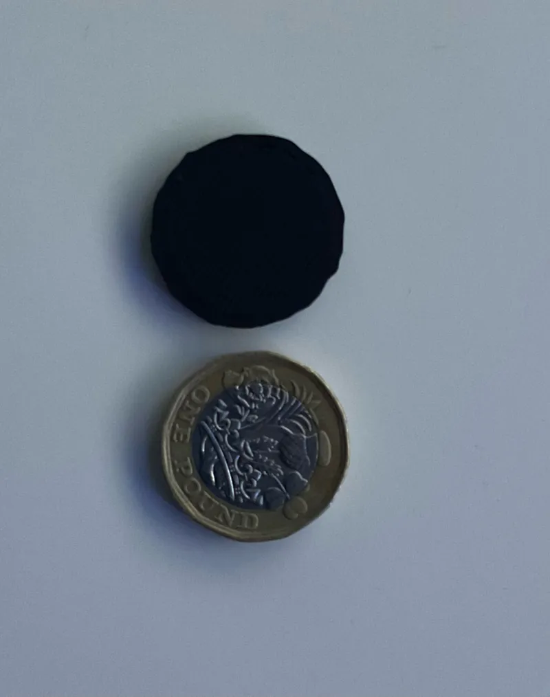 £1 Coin