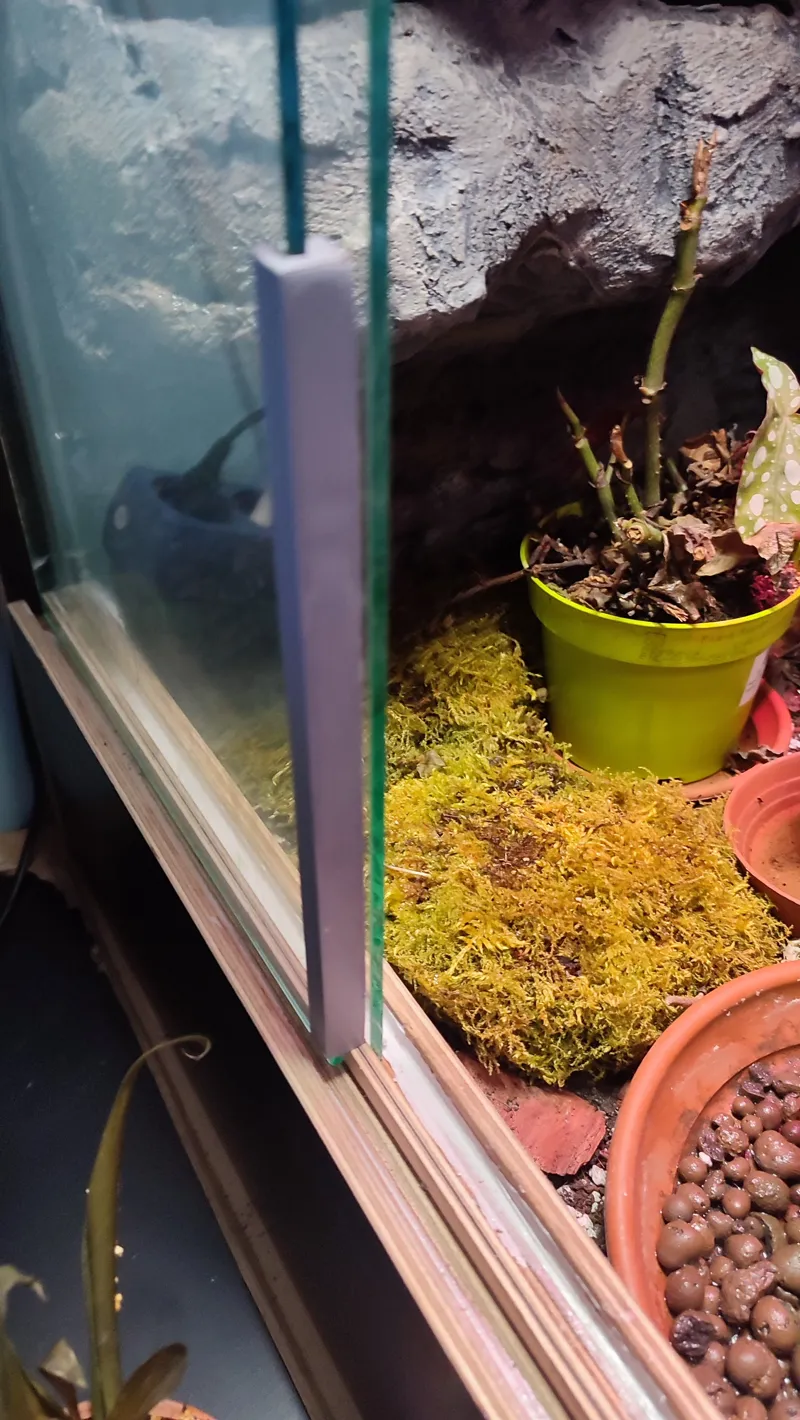 Terrarium glass spacer