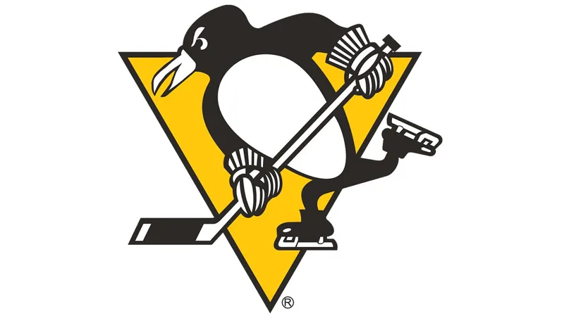 Pittsburgh penguins