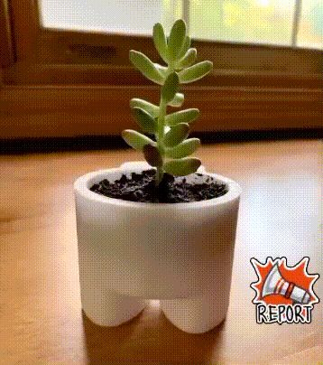 Among Us Planter