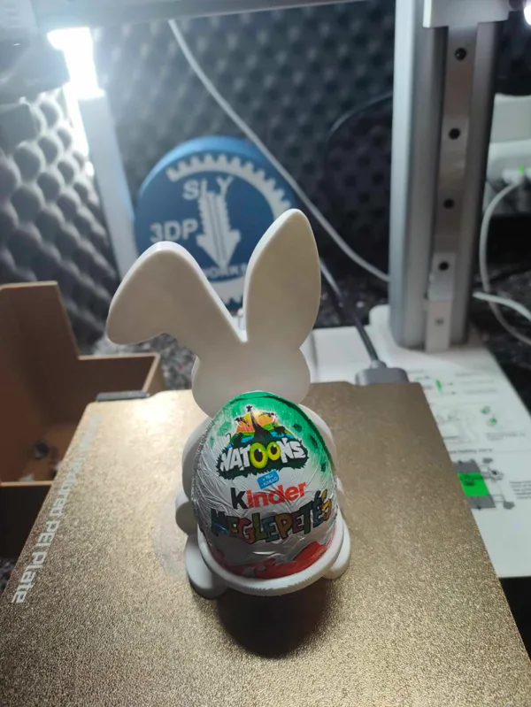 https://makerworld.bblmw.com/makerworld/model/DSM00000000215270/design/2024-03-01_0dbc51108517f.jpg