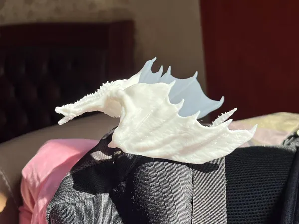 https://makerworld.bblmw.com/makerworld/model/DSM00000000215546/design/2024-03-01_6cef85e7b95a5.jpg