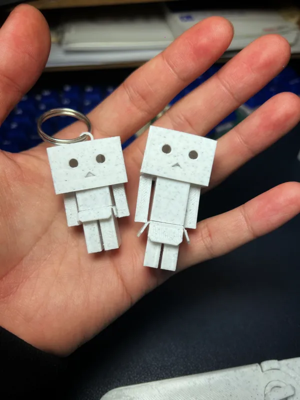 https://makerworld.bblmw.com/makerworld/model/DSM00000000216546/design/2024-03-02_e8ccc124dc967.jpg