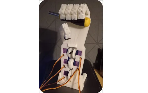 https://makerworld.bblmw.com/makerworld/model/DSM00000000216911/design/2024-03-01_d12b1060e26be.png