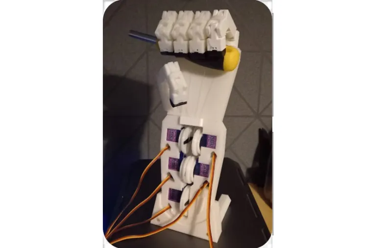 Robotic hand