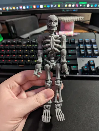 Repaired TinkerCAD Skeleton