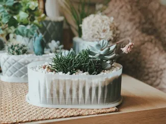 Flower oval plant pot for succulents