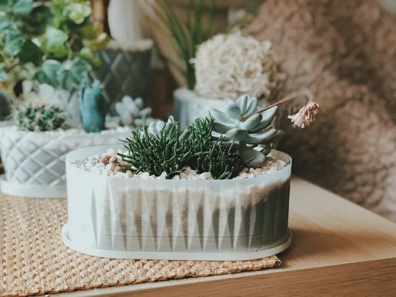 Flower oval plant pot for succulents