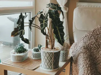 Vase Diamonds Plant Pot