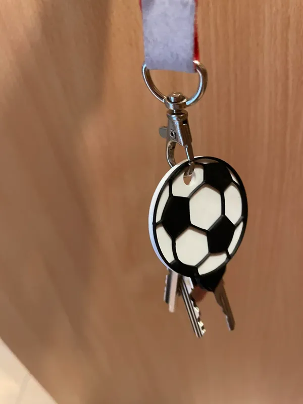 https://makerworld.bblmw.com/makerworld/model/DSM00000000218490/design/2024-03-02_75380d5021e96.jpg