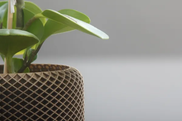 https://makerworld.bblmw.com/makerworld/model/DSM00000000218709/design/2024-03-02_rlrm6rxoj81i.jpg